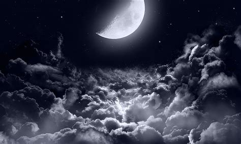 Moonlight Night Wallpaper Hd