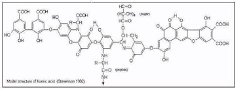 Model Structure Of Humic Acid Download Scientific Diagram