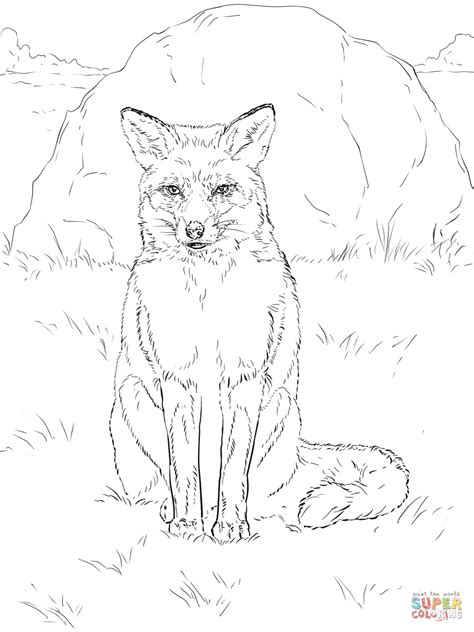 Sitting Red Fox Coloring Page Free Printable Coloring Pages