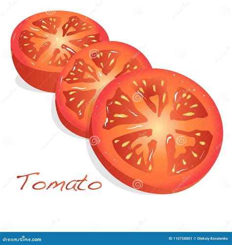 Tomato Sliced Illustration Stock Vector Illustration Of Slice 110758801