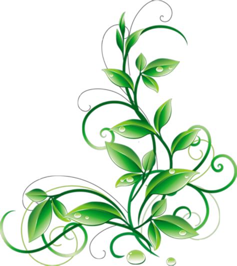 Free Transparent Floral Cliparts Download Free Transparent Floral