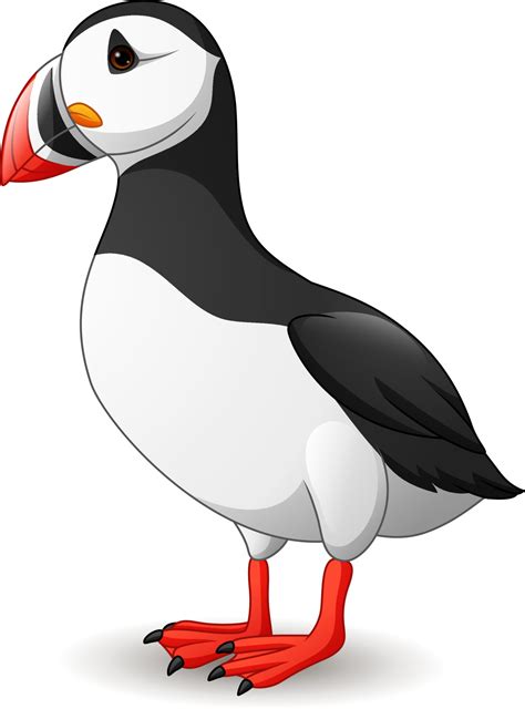 Cartoon Puffin Bird Isolated On White Background 8387765 Vector Art At