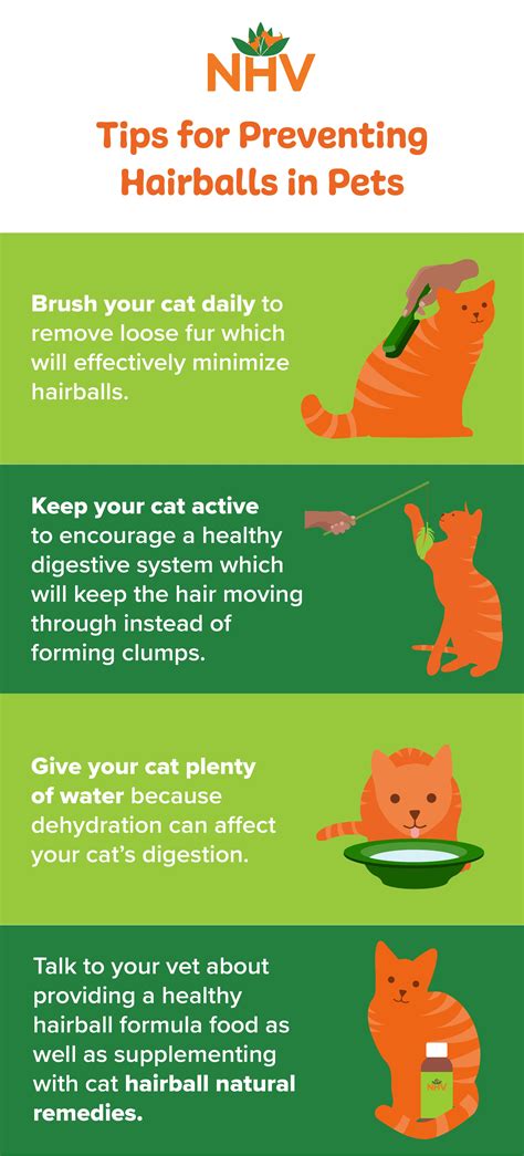 Tips for fluffy or hairball-prone cats to prevent hairballs Hairballs