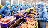 Alaska Fish Processing Companies Pictures