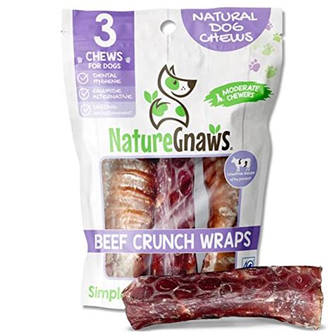 Top 10 Best Longest Lasting Dog Chews Reviews And Buying Guide Glory