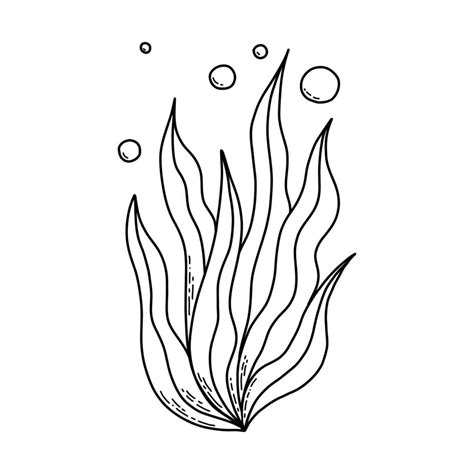 Cute Doodle Sea Algae Coloring Page For Kids Vector Illustration