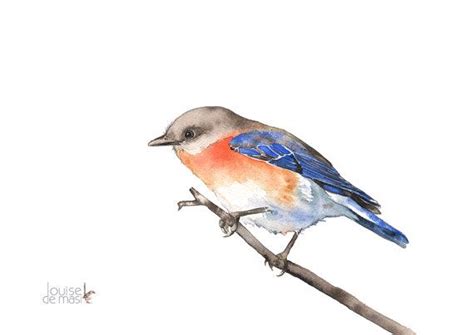 Bluebird Print Bluebird Watercolour Painting By Louisedemasi Bird