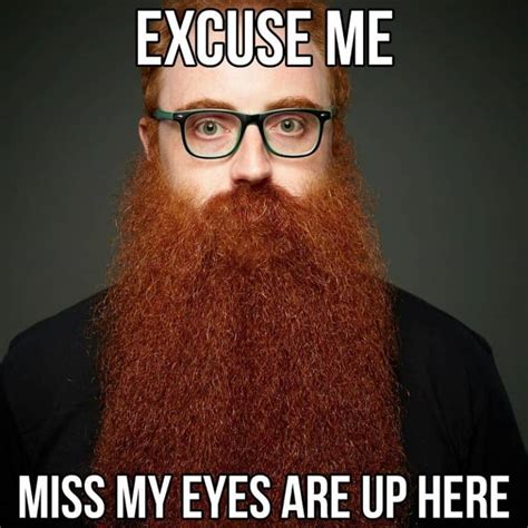 50 funny beard memes that ll definitely make you laugh
