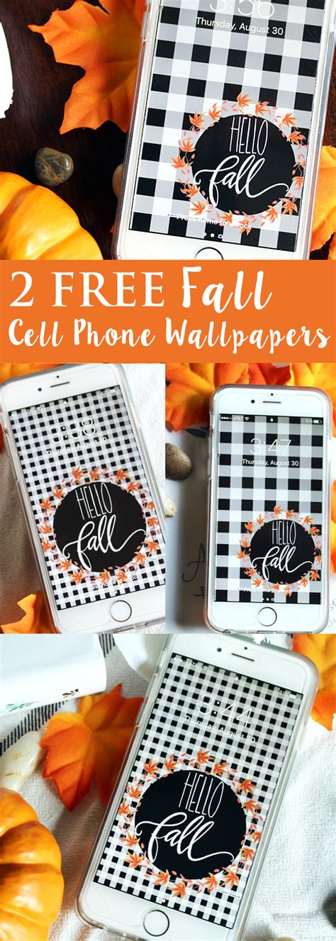 Free Fall Cell Phone Wallpaper Giggles Galore