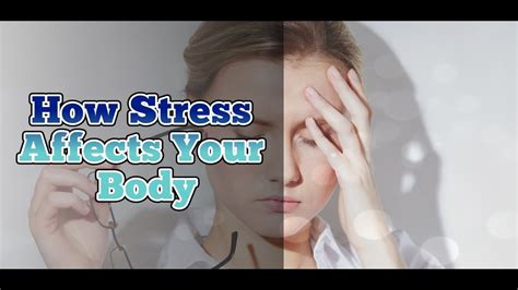 How Stress Affects Your Body Youtube