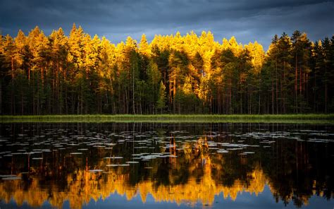Wallpaper Autumn Trees Lake Water Reflection 3840x2160 Uhd 4k