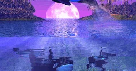 Water Animations Tranquil Waters Fantasy Art Life In The Water