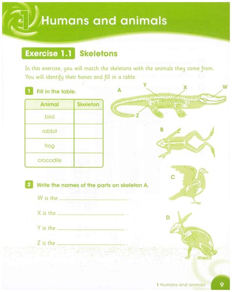 The learners play the 'sentence game' as described on page 70. Cambridge Primary Science 4 Activity Book - Tiếng Anh ...