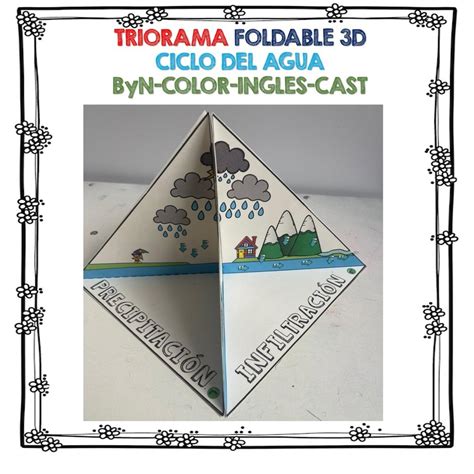 Triorama Foldable 3d Ciclo Del Agua Byn Colorear Y En Ingles