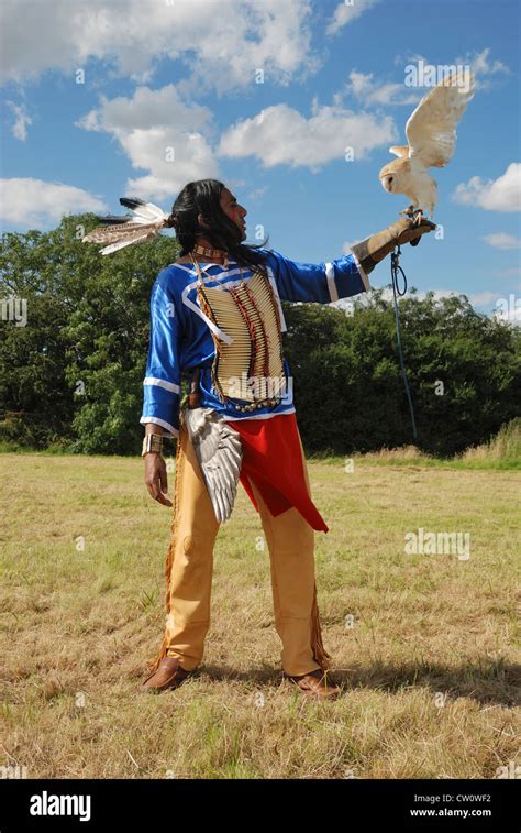 A Man Posing In Traditional Lakota Sioux Dress With A Barn Owl Stock