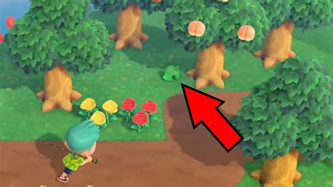 How To Catch A Walking Leaf In Animal Crossing New Horizons Allgamers