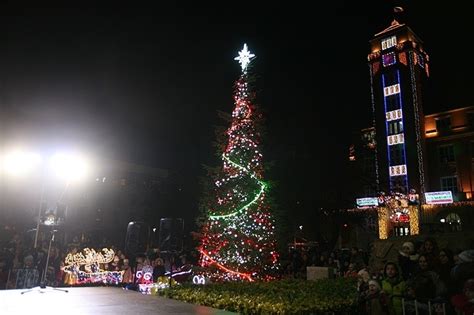 Коледната елха в Плевен ще грейне тази вечер Travel News
