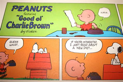 Snoopy Comic Recipe Charlie Brown Dog Food Retro Etsy