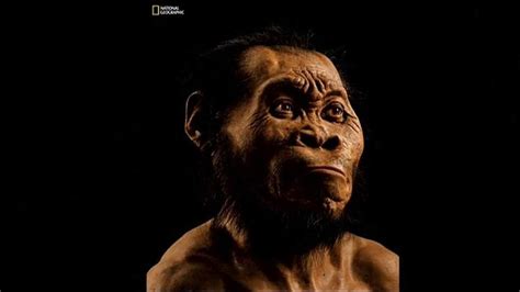 Homo Naledi Has A Surprising Mix Of Human And Primitive Characteristics