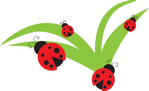 Ladybug Clip Art Clip Art Library