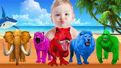 Learn Colors With Animals Colorful For Children Kids Learning Color