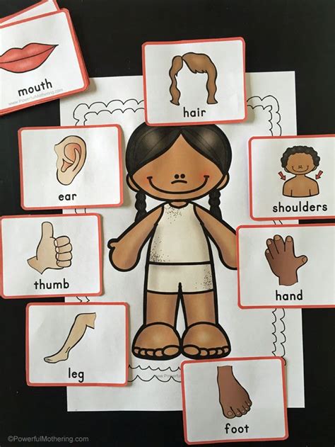 A Fun Game To Help Teach Children About The Body Body Parts Preschool