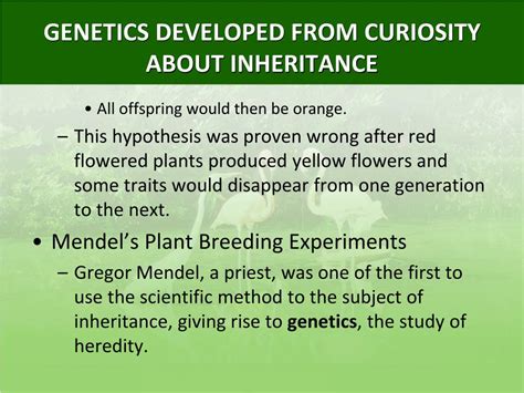 Ppt Patterns Of Inheritance Mendelian Genetics Powerpoint Free Hot Sex Picture