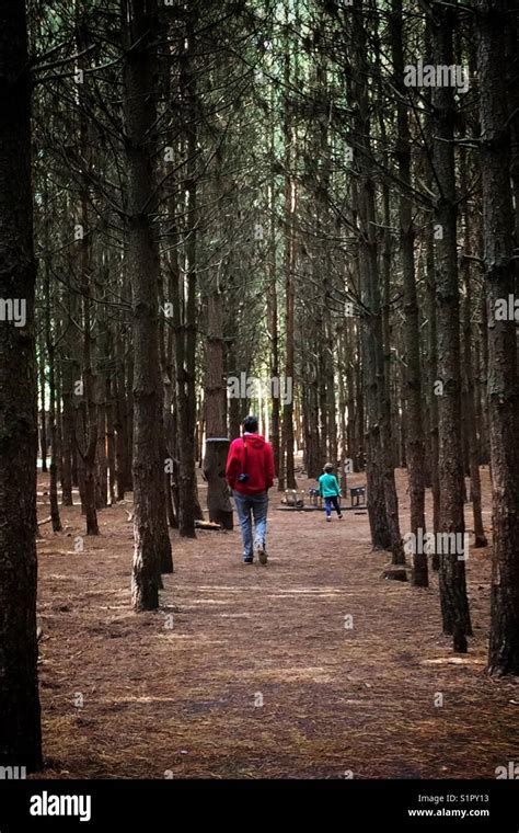 Man And Young Boy Walking In A Forest Stock Photo Alamy