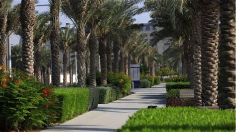 تقدم ممشى مارينا لوسيل أفضل الأنشطة الترفيهية في قطر