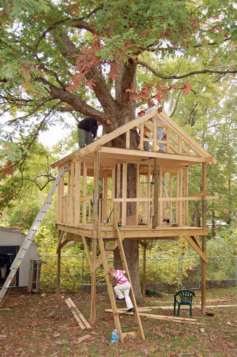 25 Treehouse Design Ideas That Are Nice Than Your House Tree