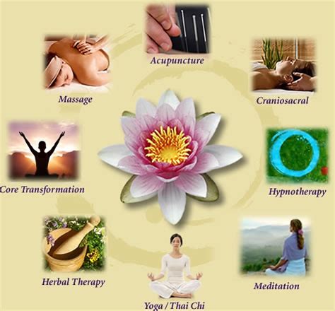 Is a central florida based woman owned/dbe business providing specialty products, solutions and shared services geared toward the transportation industry. Synergy Holistic Health Center Standard Process Online Store