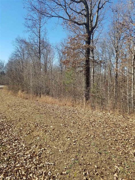 88 acres in Henderson County, Tennessee