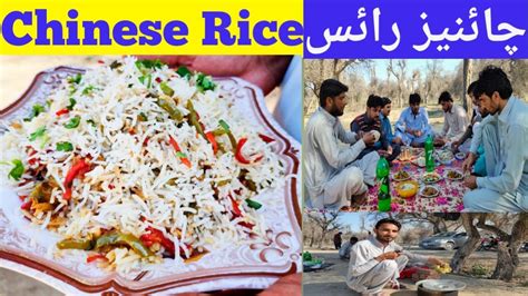 Chinese Rice Recipe How To Make Chinese Rice In Urdu Hindi A One