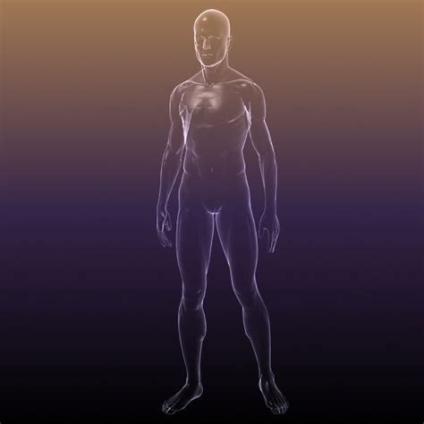 3d Model Human Body Shape Of A Male Vr Ar Low Poly Max Obj 3ds