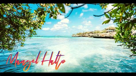 SNORKELING In ARUBA DIVI All Inclusive Mangel Halto Beach YouTube