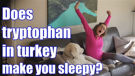 Does Tryptophan In Turkey Make You Sleepy Youtube