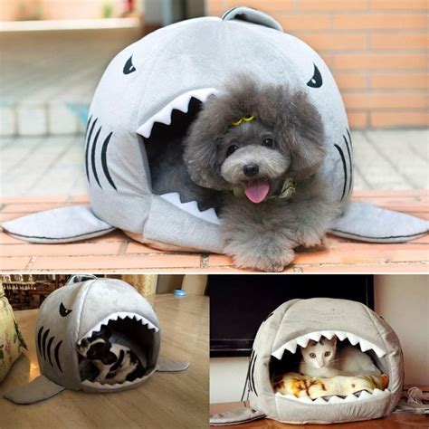 Shubuy Shark Bed For Small Cat Dog Cave Bed Tent Bed For Pets Shark Pet