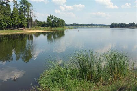 Martin Creek Lake State Park Deartexas