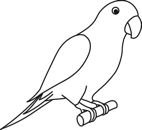 Animals Black And White Outline Clipart Parrot On Perch Black Outline