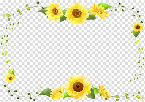 Sunflower Frame Illustration Common Sunflower Sunflower