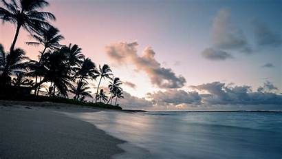 Coast Relaxing 4k Palm Tropical 1080p Dusk