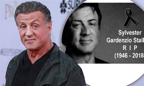 Sylvester Stallone Death Hoax Floods Social Media Again Daily Mail Online
