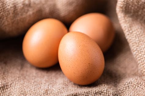 What Chickens Lay Brown Eggs Infographic