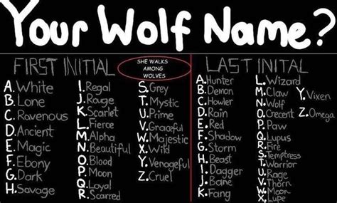 Pin By Vidhi Sinha On Wolves Funny Name Generator Wolf Name Fantasy