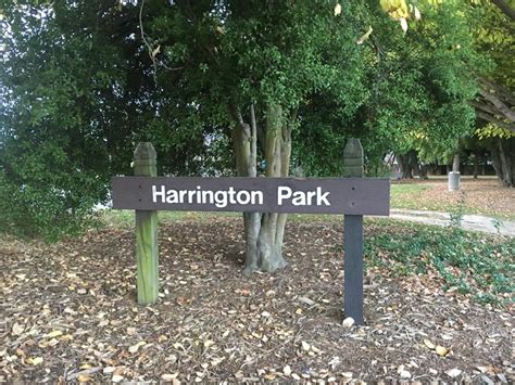 New Playspace Excites Harrington Park Residents Metronews
