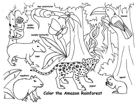 Endangered Animals Coloring Pages At Getdrawings Free Download