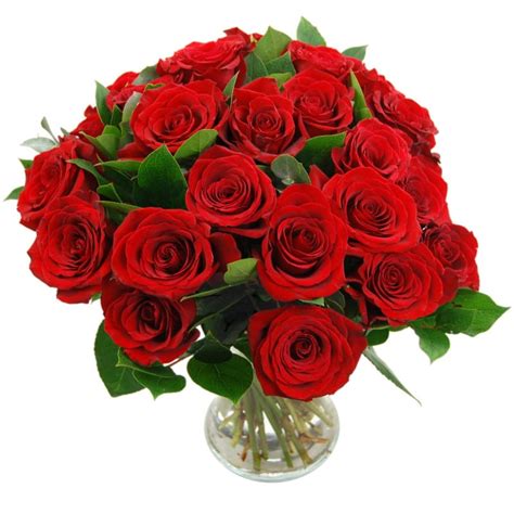 Send 24 Red Roses 2 Dozen Red Roses Delivered Next Day With Free Delivery