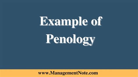 Penology Meaning Types Importance Scope And Example Sociology
