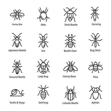 Garden Bugs Stock Vectors Royalty Free Garden Bugs Illustrations