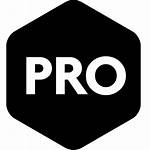 Pro Iconfinder Icon Icons Quickbooks Certified Professional